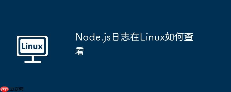 Node.js日志在Linux如何查看