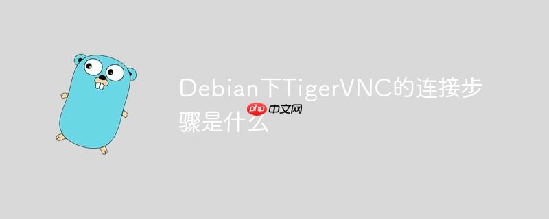 debian下tigervnc的连接步骤是什么