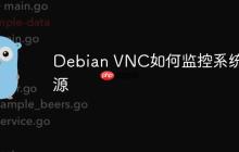 Debian VNC如何监控系统资源