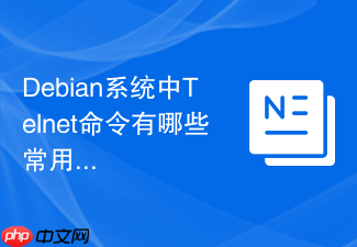 Debian系统中Telnet命令有哪些常用选项