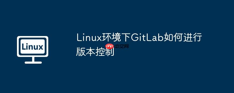 linux环境下gitlab如何进行版本控制