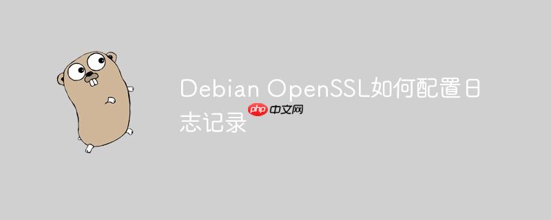 debian openssl如何配置日志记录