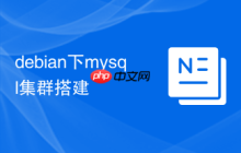 debian下mysql集群搭建