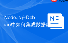 Node.js在Debian中如何集成数据库