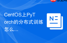 CentOS上PyTorch的分布式训练怎么做