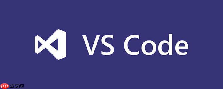 VSCode 插件与操作系统更新后的兼容性问题研究