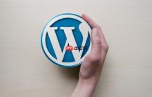 为什么我的WordPress后台无法访问