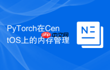 PyTorch在CentOS上的内存管理