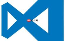 VSCode 对 Rust 语言的开发支持与调试技巧探讨