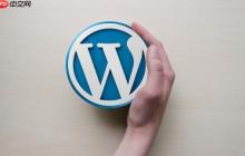 WordPress后台自定义字段不显示