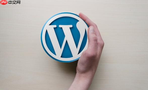 WordPress后台自定义字段不显示