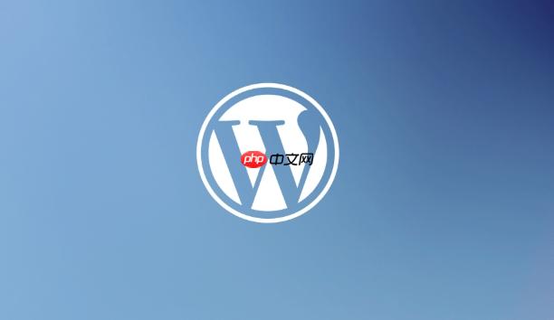 WordPress后台自定义字段不显示