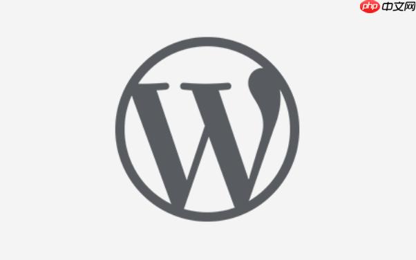 WordPress后台自定义字段不显示