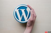 WordPress后台主题切换失败怎么办