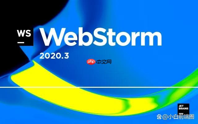 WebStorm 内存占用过高的解决方案