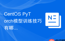 CentOS PyTorch模型训练技巧有哪些