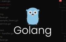 分析 Go 语言编译器在编译过程中的常见报错及原因排查