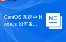 CentOS 系统中 Node.js 如何备份