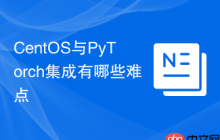 CentOS与PyTorch集成有哪些难点