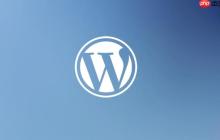 WordPress后台SEO插件不工作