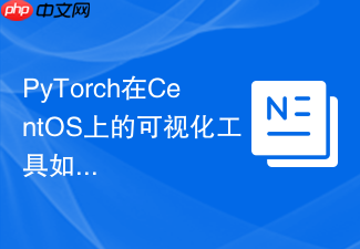 PyTorch在CentOS上的可视化工具如何使用