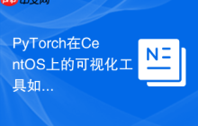 PyTorch在CentOS上的可视化工具如何使用