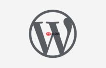 WordPress后台文件编辑器消失