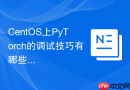 CentOS上PyTorch的调试技巧有哪些