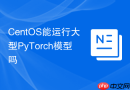 CentOS能运行大型PyTorch模型吗
