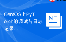 CentOS上PyTorch的调试与日志记录