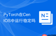 PyTorch在CentOS中运行稳定吗