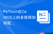 PyTorch在CentOS上的多线程如何配置