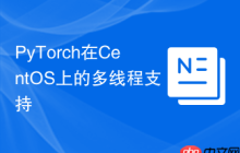 PyTorch在CentOS上的多线程支持