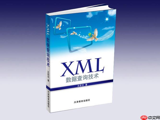 XML的Infoset(信息集)和PSVI(后验证信息集)是什么概念？
