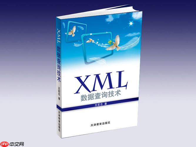XML中的xml:lang属性对解析有什么特殊影响？
