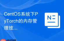 CentOS系统下PyTorch的内存管理技巧有哪些
