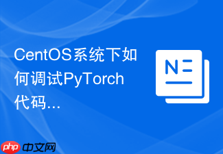 CentOS系统下如何调试PyTorch代码