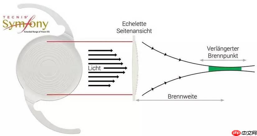 Symfony 怎么把SSO凭证转为数组