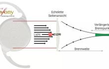 Symfony 怎么把序列化对象转为数组