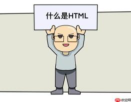 HTML如何实现打字音效？按键声音怎么添加？