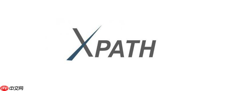 XPath的@符号是什么意思？怎么选择属性？