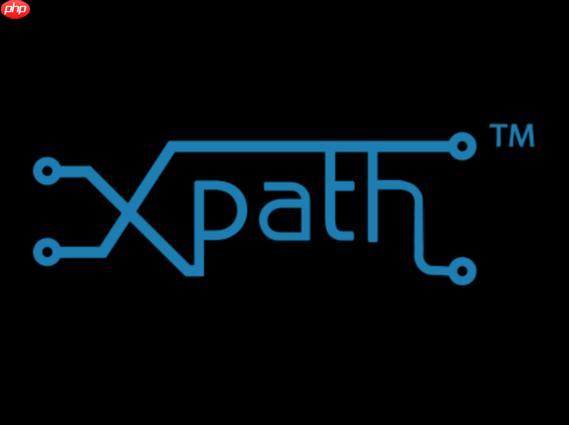XPath的child轴和//有什么区别？