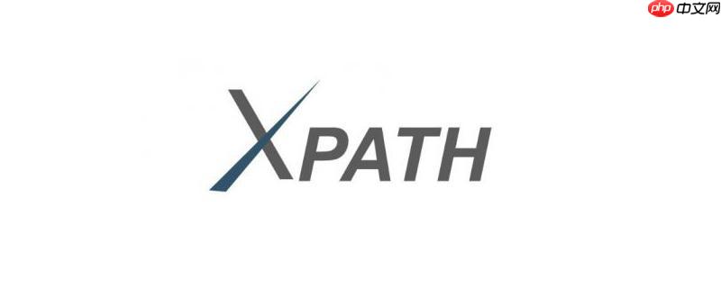 XPath的node()函数怎么匹配任何节点？-小浪学习网
