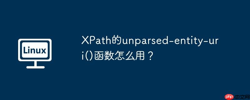 XPath的unparsed-entity-uri()函数怎么用？
