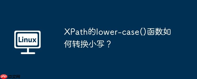XPath的lower-case()函数如何转换小写？-小浪学习网