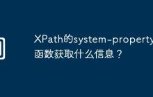 XPath的system-property()函数获取什么信息?