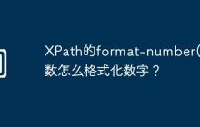 XPath的format-number()函数怎么格式化数字?