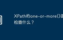 XPath的one-or-more()函数检查什么?