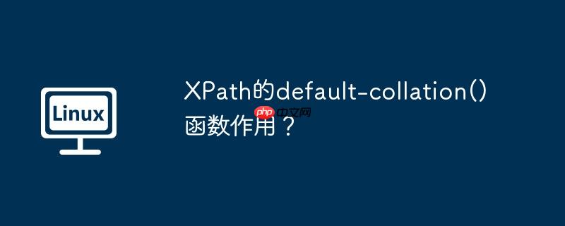 xpath的default-collation()函数作用？