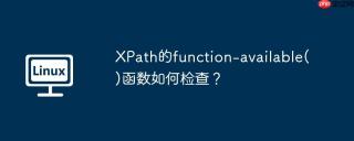 xpath的function-available()函数如何检查?